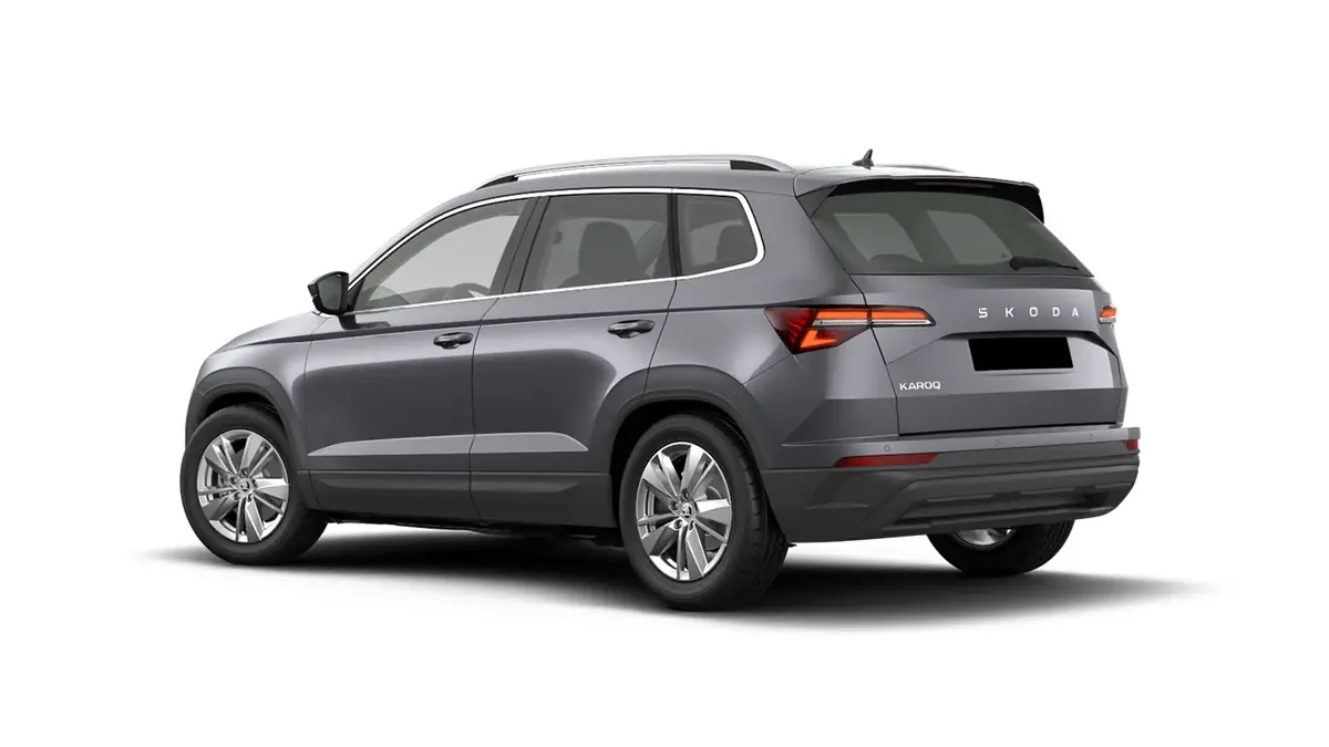 Škoda Karoq Selection 2.0 TDI DSG en renting en Málaga — vista 6